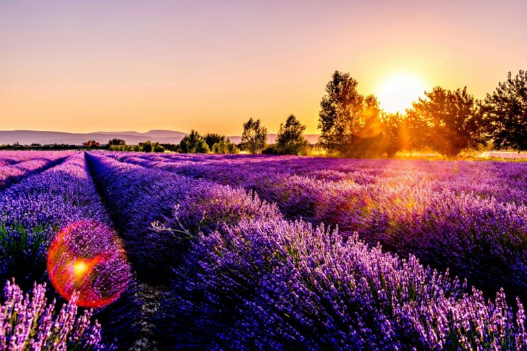 Hello World Featured Image